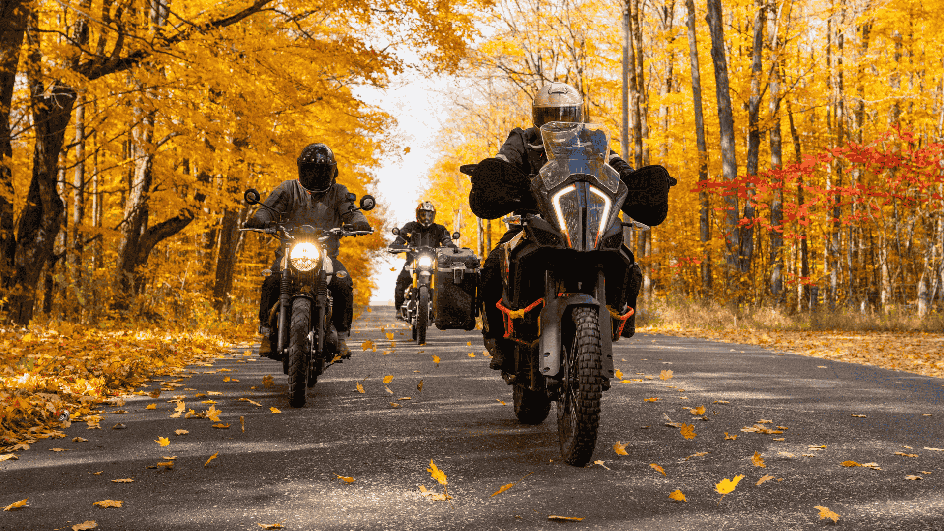 From Sale to Loyalty: How Motorcycle Brands Keep Riders Engaged From Sale to Loyalty: How Motorcycle Brands Keep Riders Engaged